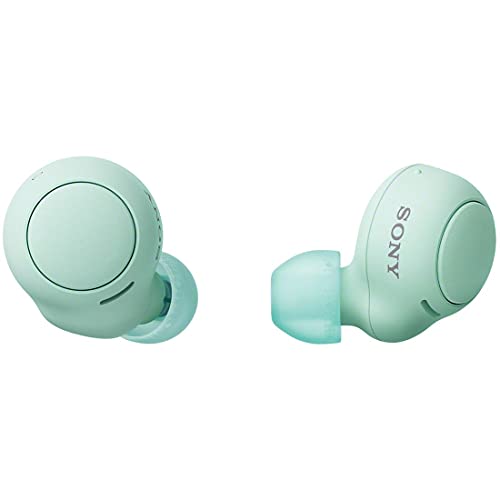 ソニー(SONY) 物のみごとにワイヤレスイヤホン WF-C500 : /軽さ小型5.4g/高慥かさ電話を掛ける性質/飾り気のないありの実輪っか/IPX4防滴動作/アイスグリ