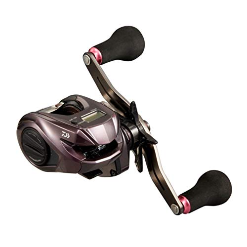ダイワ(DAIWA) 21 紅牙 集積回路 150L