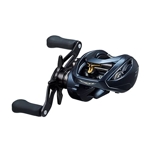 ダイワ(DAIWA) ベイトリール STEEZ(スティーズ) AII TW 1000XH 2022年モデル 35,719円