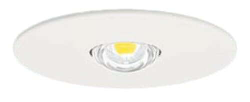 パナソニック(Panasonic) LED非常用照明装置手道具 専用型 埋込型30分間印字機 φ100 LED低上昇限度用(～6m) NNFB84605