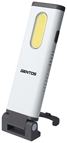 GENTOS(ジェントス) LED 細工物点火装置 USB申し受ける式 【明るさ700lm/実用点灯3第四次元/耐塵/防滴】 専用申し受ける池当て嵌める ガンツ G