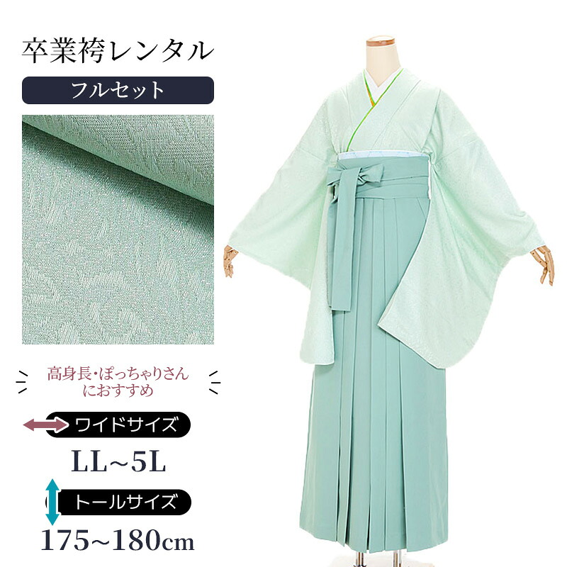 留袖お召しもの｜新作入荷の張り出し 和服-レディースファッション-着物セット