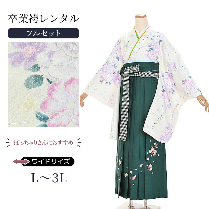 留袖お召しもの｜新作入荷の張り出し 着物セット-和服-レディースファッション