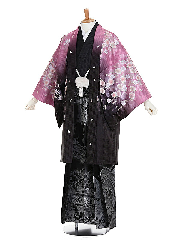 留袖御召しもの｜新作入荷の貼り出し