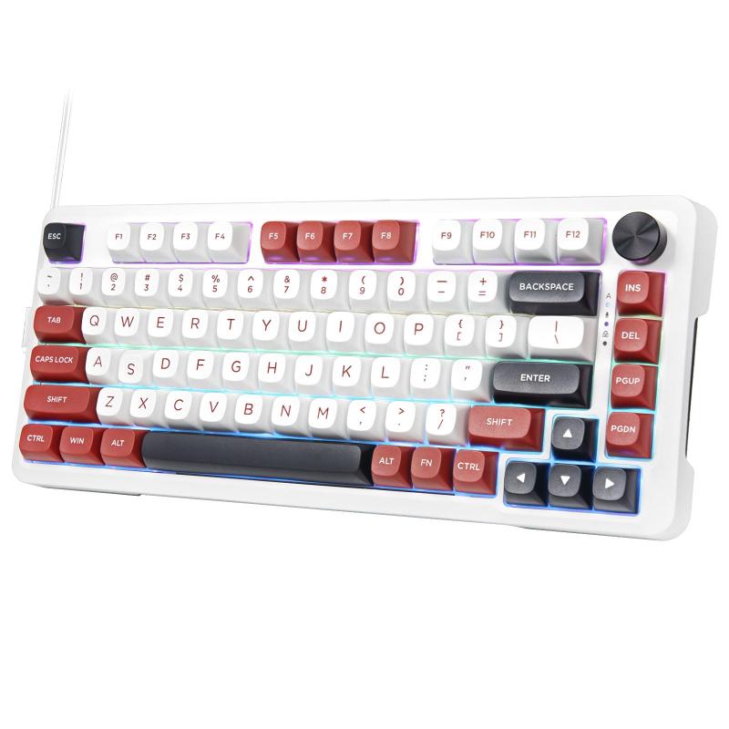 e元素 Z82ゲーミングキーボード シルバーウッド軸のメカニカル式キーボード ホットスワップ対応 潤滑済みリニア銀軸スイッチを採用 アンチゴーストキー RGBバックライト付き PC用82キーカス