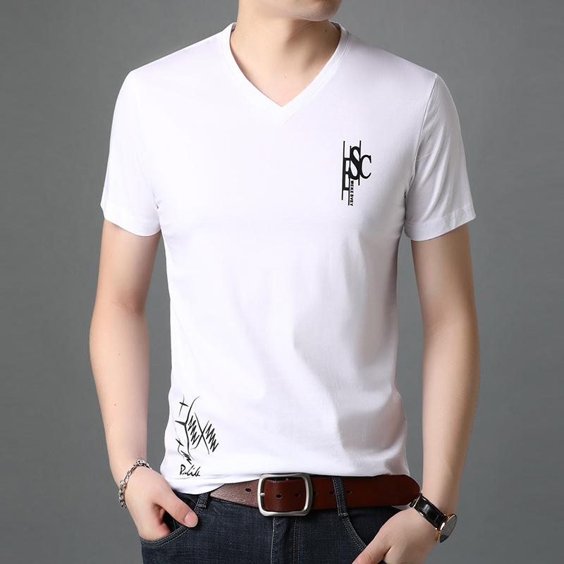 Tシャツ メンズ 半袖 Vネック 無地 シンプル ベーシック カジュアル スタンダード カットソー 男性 紳士 ティーシャツ リラックス 定番 デイリー 普段使い おしゃれ かっこいい きれいめ
