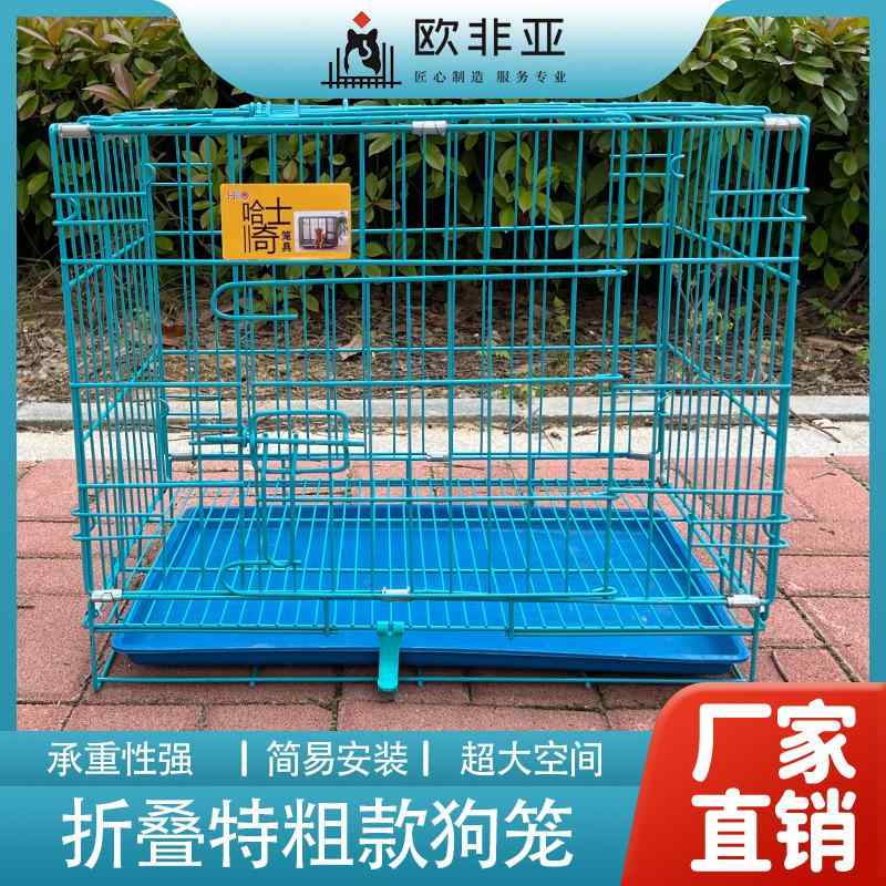 愛玩動物伏せ籠 生きて行く雑貨 犬用 猫用 小毛の荒物 室内用 折りたたみ 室内用便器付き添い人 ゲージ 伏せ籠 倶楽部 住みか 愛玩動物住みか 愛玩動物倶楽部 多役立つこと 分かりやすい 第一義的 定番 判定基準 心地好い