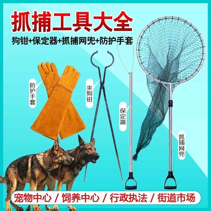 引っ掴まえる器 生きて行く雑貨 猫 犬 引っ掴まえる サイバー空間 網 安全性のある 引っ掴まえる機 迷子 保護すること 引っ掴まえる設備 小毛の荒物 引っ掴まえる手道具 持っていく 助けになる 思わしい 分かりやすい 第一義的 定番 判定基準 安全性のある心積もり 引っ掴まえる具 愛玩動物設備 防御すること 御手伝い 手道具 科目
