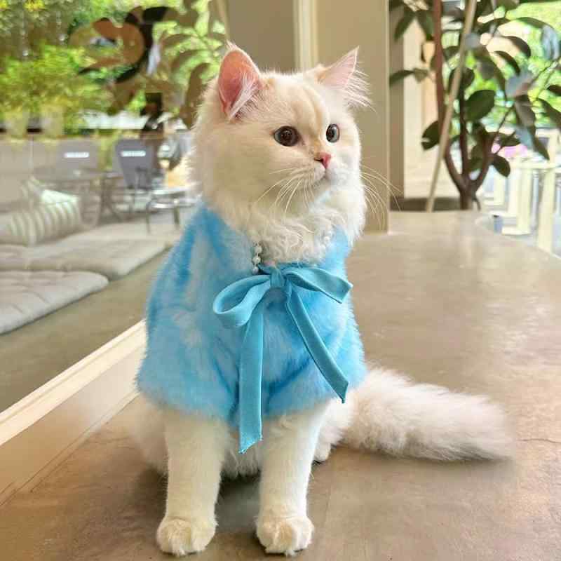 キャットウェア ペット用 スフィンクス デボンレックス ヘアレスキャット シンプル 無地 ベーシック カジュアル 定番 スタンダード リラックス きれいめ