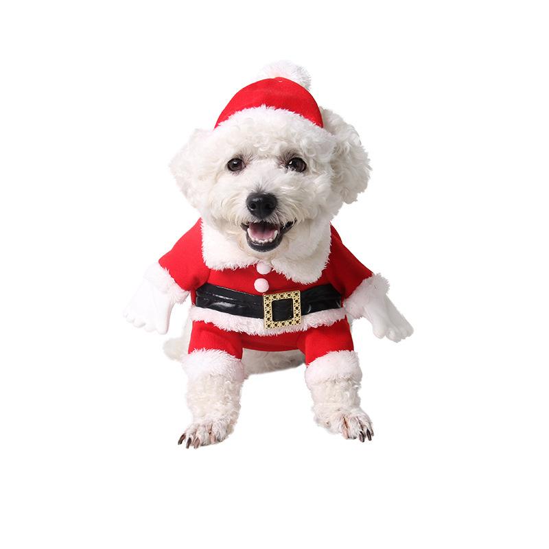 ドッグウェア 犬 猫 愛玩動物服 サンタ 御召しもの クリスマス コスプレ 化けの皮 おもしろ 愛くるしい 映画化用 寄り合い 出来事 グッズ ほっつき歩く お出かけ 定番 分かりやすい 標準尺度 第一義的