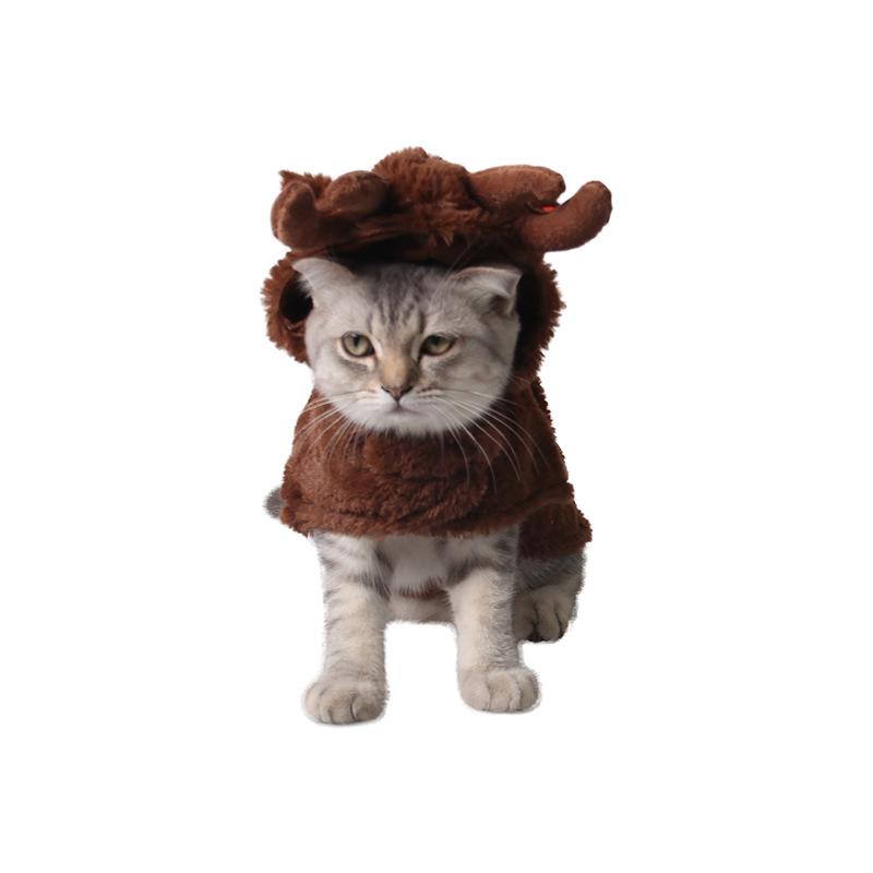猫の服 愛玩動物 クリスマス 馴鹿 コスプレ 御召しもの 赤銅色 赤銅色 愛くるしい 今めかしい 寄り合い 化けの皮 着ぐるみ 出来事 愛玩動物装置  定番 分かりやすい 第一義的 標準尺度 伸び伸びする  心地よい