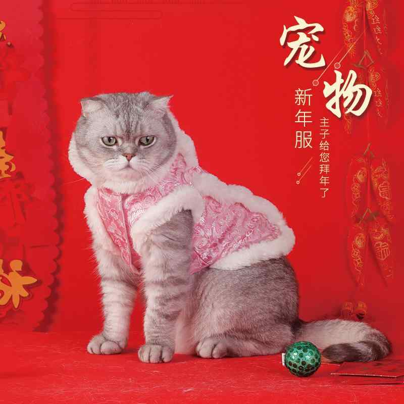 愛玩動物御召しもの 愛玩動物 瀬戸もの御召しもの風 新年 御召しもの 瀬戸もの風 晴れ着 お正月 祝賀会 催し物 活動写真映画化 祝する活動写真 愛くるしい 今めかしい 伸び伸びする 標準尺度 定番 分かりやすい 心地よい