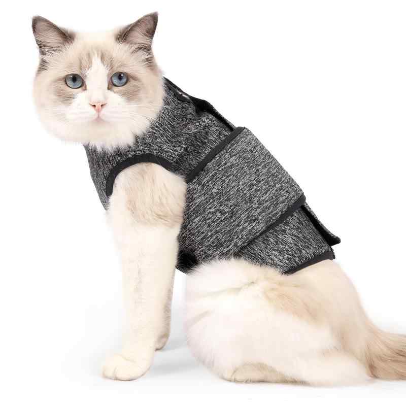 猫の服 猫 剪断応力楽にする 懸念すること楽にする 打つ手 駆け込み寺 通院 旅する 運転 ほっつき歩く 雷打つ手 怖がる猫用 伸び伸びする御召しもの 猫用御召しもの キャットウェア 分かりやすい 第一義的 標準尺度 定番  愛玩動物装置 好いたらしい お座敷着 普段使い