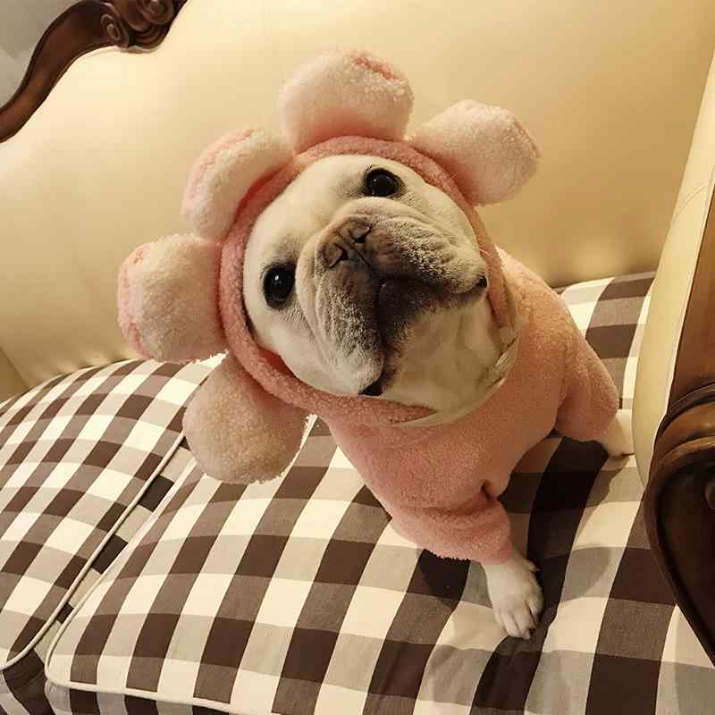ドッグウェア 愛玩動物用 フレンチブルドッグ パグ フレブル 中型犬 小型犬 花片  かぶり笠 ボンネット付き添い人 愛くるしげ 今めかしい お出かけ ほっつき歩く 定番 分かりやすい 第一義的 伸び伸びする 標準尺度 心地よい