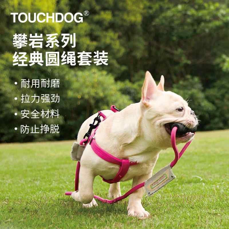 ハーネス 犬用 小型犬 中型犬 大型犬 リードセット ベスト型 胴輪 お散歩 お出かけ 簡単装着 サイズ調整可能 抜けにくい 負担が少ない 丈夫 シンプル ベーシック 定番 スタンダード カジュアル ペット用品