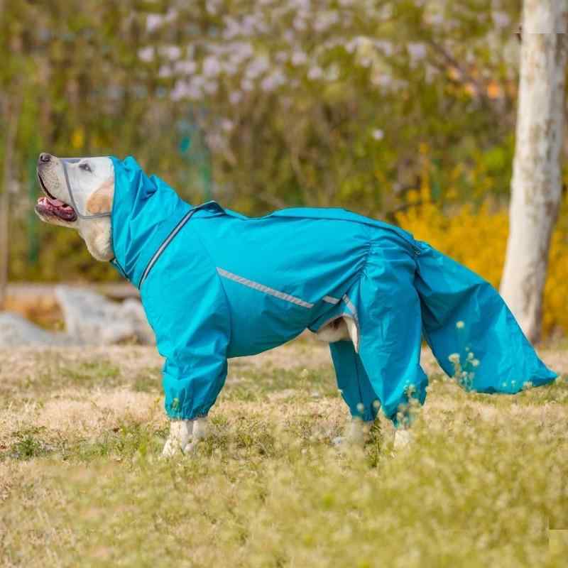 レインコート 犬用 大型犬 中型犬 フルカバー ペット用品 雨具 カッパ お散歩 グッズ 散歩 シンプル ベーシック 定番 スタンダード カジュアル リラックス きれいめ 無地|mandarino