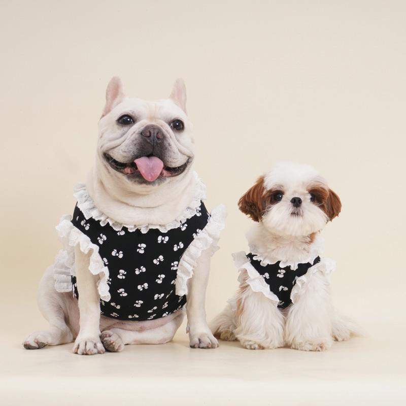 犬服 小型犬 リボン カットソー ペットウェア ドッグウェア キャットウェア 猫服 犬の服 猫の服 かわいい おしゃれ シンプル ベーシック カジュアル プルオーバー ペット用品 お出かけ 散歩 デイリー スタンダード 定番 リラックス |mandarino