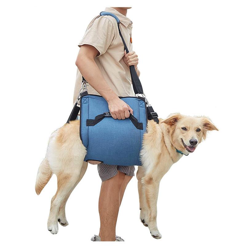 御拾いかばい立て馬具 犬用 老犬 介護 かばい立て三尺帯 ほっつき歩く 受け支える三尺帯 社会復帰 持ちお手掛け 土手っ腹用 年がしら犬 しり押し 手きず 民族大移動 立ち上がり かばい立て用三尺帯 介護装置 分かりやすい 標準尺度 第一義的 定番