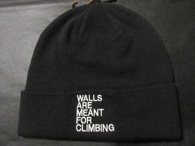 楽天市場】22SS The North Face Kaws Beanie ザ ノース フェイス