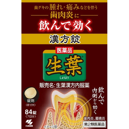 【第2類医薬品】生葉漢方錠 84錠 [4個セット･【(送料込)】※他の商品と同時購入は不可]