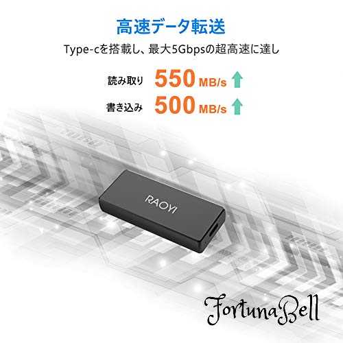 色:超小型サイズ:5)1TBRAOYI外付SSD1TBUSB3.1Gen2ポータブルSSD超ミニSSD転送速度550MB/秒(最大)Type-Cに対応PS4/ラップトップ/X-boxに適用超小型・超高速耐衝撃防滴黒