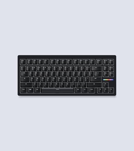 Wooting 80HE Linear60 v2 英語配列 US-ANSI ラピッドトリガー 37,490円