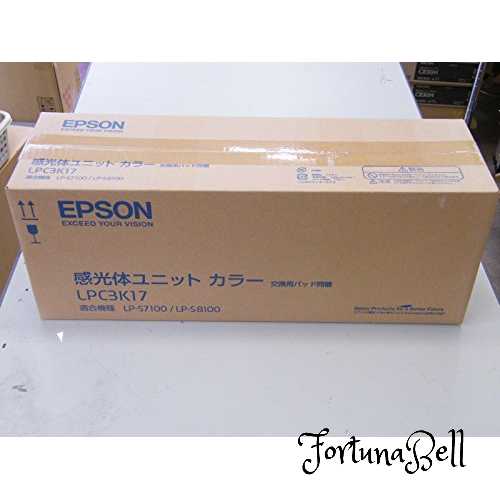 エプソン EPSON 素っ破抜き体社会的単位 LPC3K17