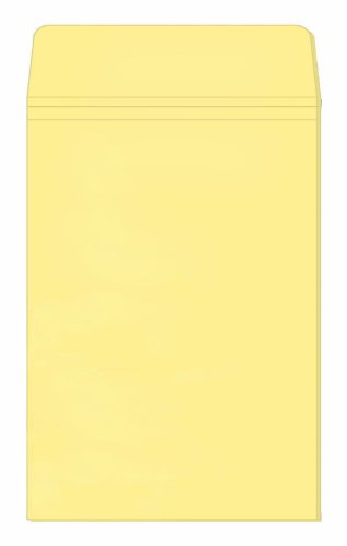 菅公工業 Vパワー マチ付封筒 角2 100枚入り シ012