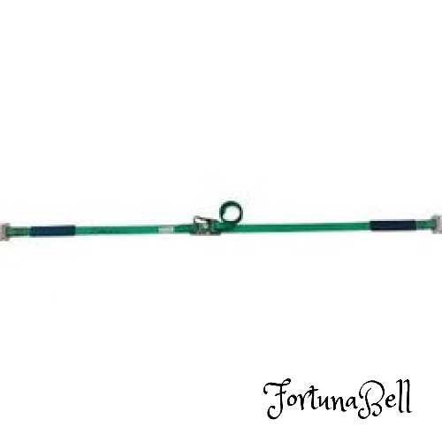 allsafe ラッシングベルト ステンレス製ラチェット式T-ワンピース重荷重 SR5SP14｜Fortuna Bell