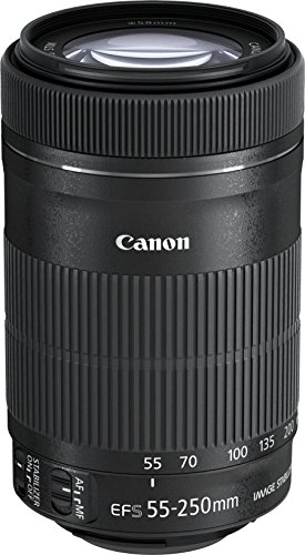 EF-S55-250mm F4-5.6 IS STM|Fortuna Bell