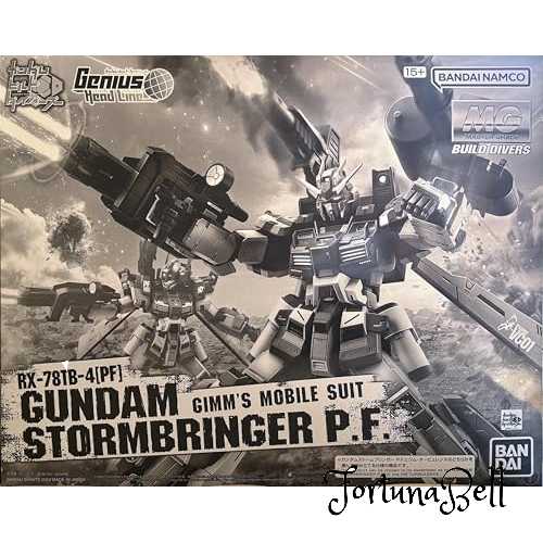 ＭＧ 1/100 ガンダムストームブリンガー Ｐ.Ｆ.