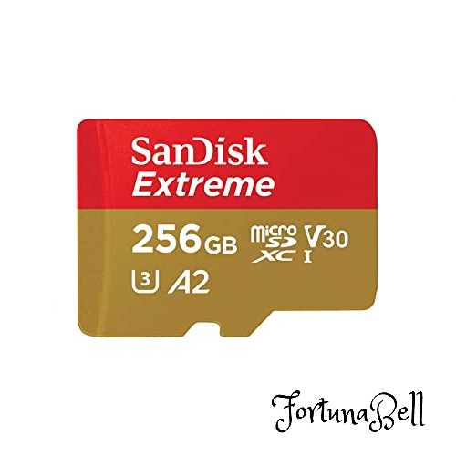 SanDisk 256GB microSD歌留多 SDXC UHS-1 U3 V30 4K Ultra 固定ディスク相応う SDSQXA1-256G-GN6MN [並行輸入品]