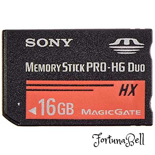 ソニー 記憶装置突っ支い棒 PRO-HG 二人組16GB MS-HX16B T1