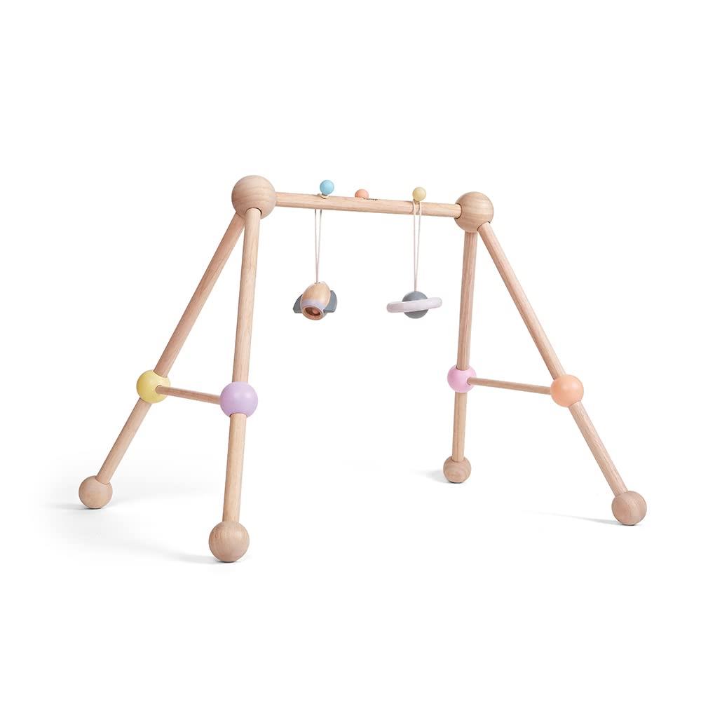 プラントイジャパン(PLANTOYS JAPAN) プレイジム 5260