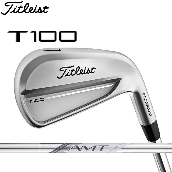 タイトリスト NEW Tシリーズ アイアンセット T100 [AMTホワイト] スチールシャフト 6本セット(#5～PW) TITLEIST 2025 IRON