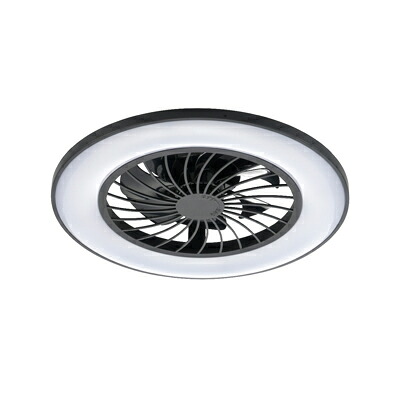 オーム電機 気違い付き添い人ＬＥＤ最高限度ともし火（12畳/調光5座標軸/調色5色/風量6座標軸/黒）※お取り寄せ品 4971275652491