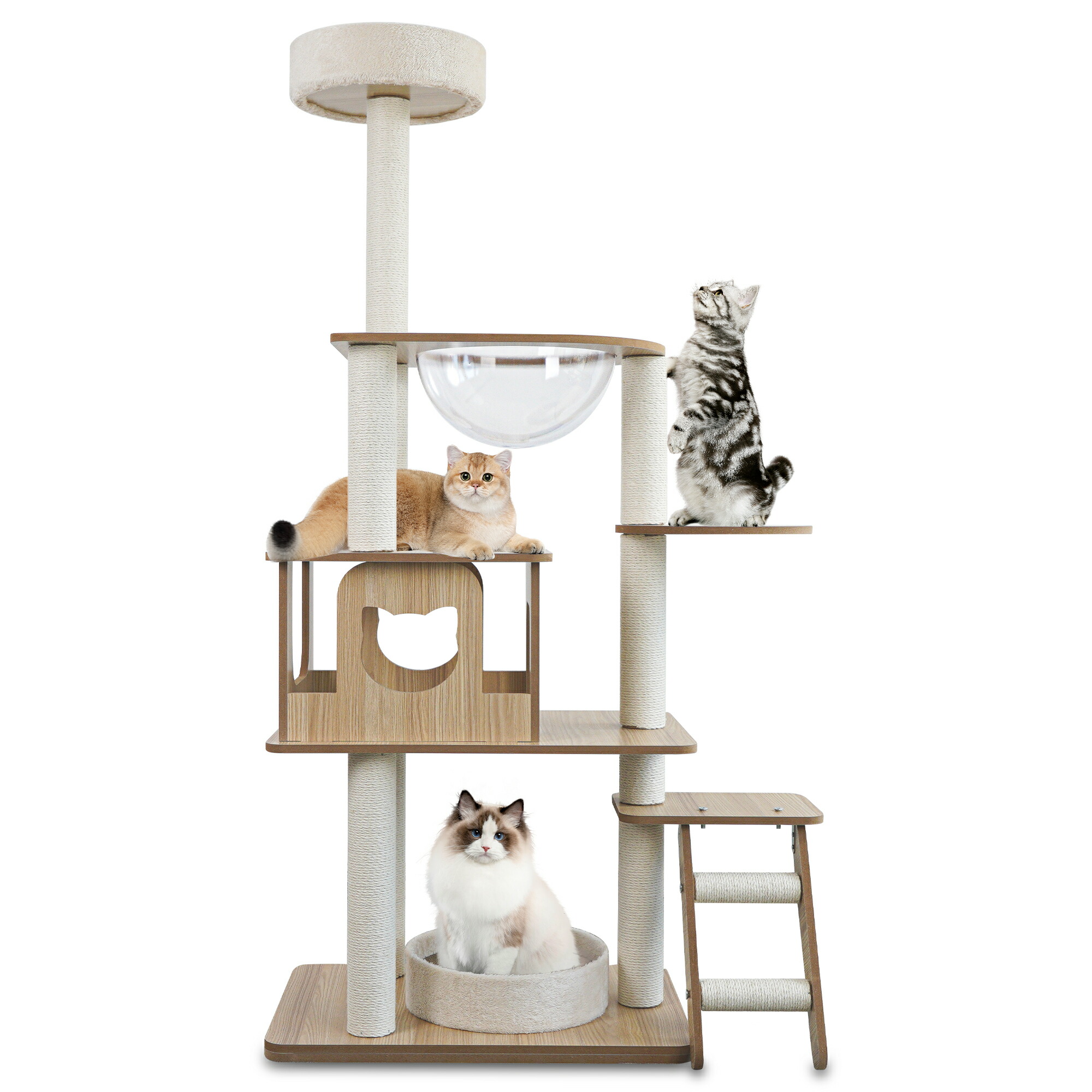 キャットタワー 猫タワー 木製キャットタワー 据え置き 木製MDF 天然サイザル麻 5段 展望デッキ 透明スペースカプセル 猫ハウス  多機能 猫爪とぎ板 ハンモック 透明のスペースカプセル スリムなデザイン サイザル麻ロープ巻