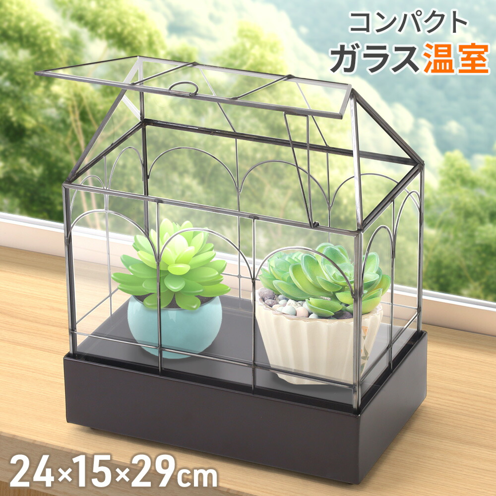 楽天市場】卓上温室 ガラスケース フリップトップ式 観葉植物用 (多肉
