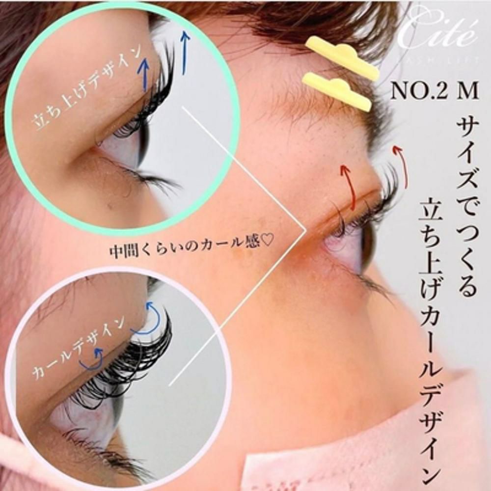 【リニューアル版】Cite PRO SYSTEM 1・2各30g×3箱 新品 楽天市場】【Cite】プロ システム : フーラストア