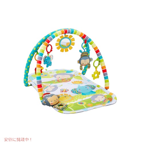 ミュージカル体育館で遊ぼう！ Fisher Price プレイジム つや消し Founderがお届け!