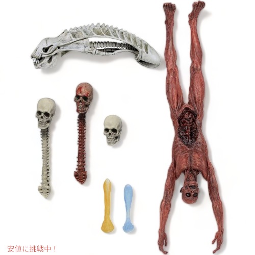 NECA　ネカ　プレデター　アクセサリー　フィギュア　頭蓋骨セット NECA ネカ プレデター アクセサリー フィギュア 頭蓋骨セット