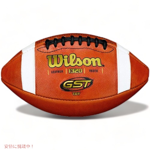 楽天市場】【最大2000円クーポン26時間】Wilson The Duke公式NFLゲーム