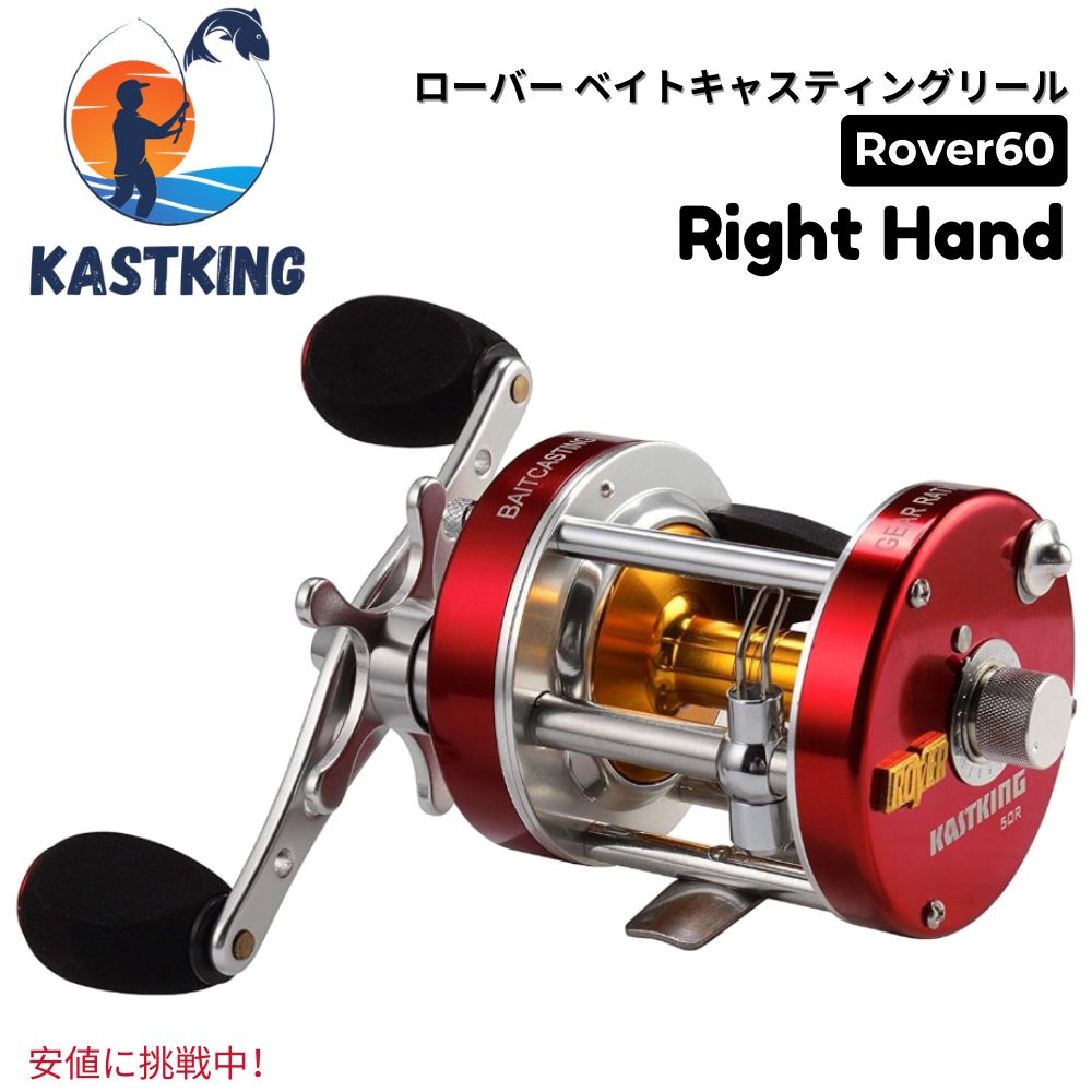 カストキング リール KastKing カストキング Whitemax 最大ドラグ力 8KG 軽量 ベイト
