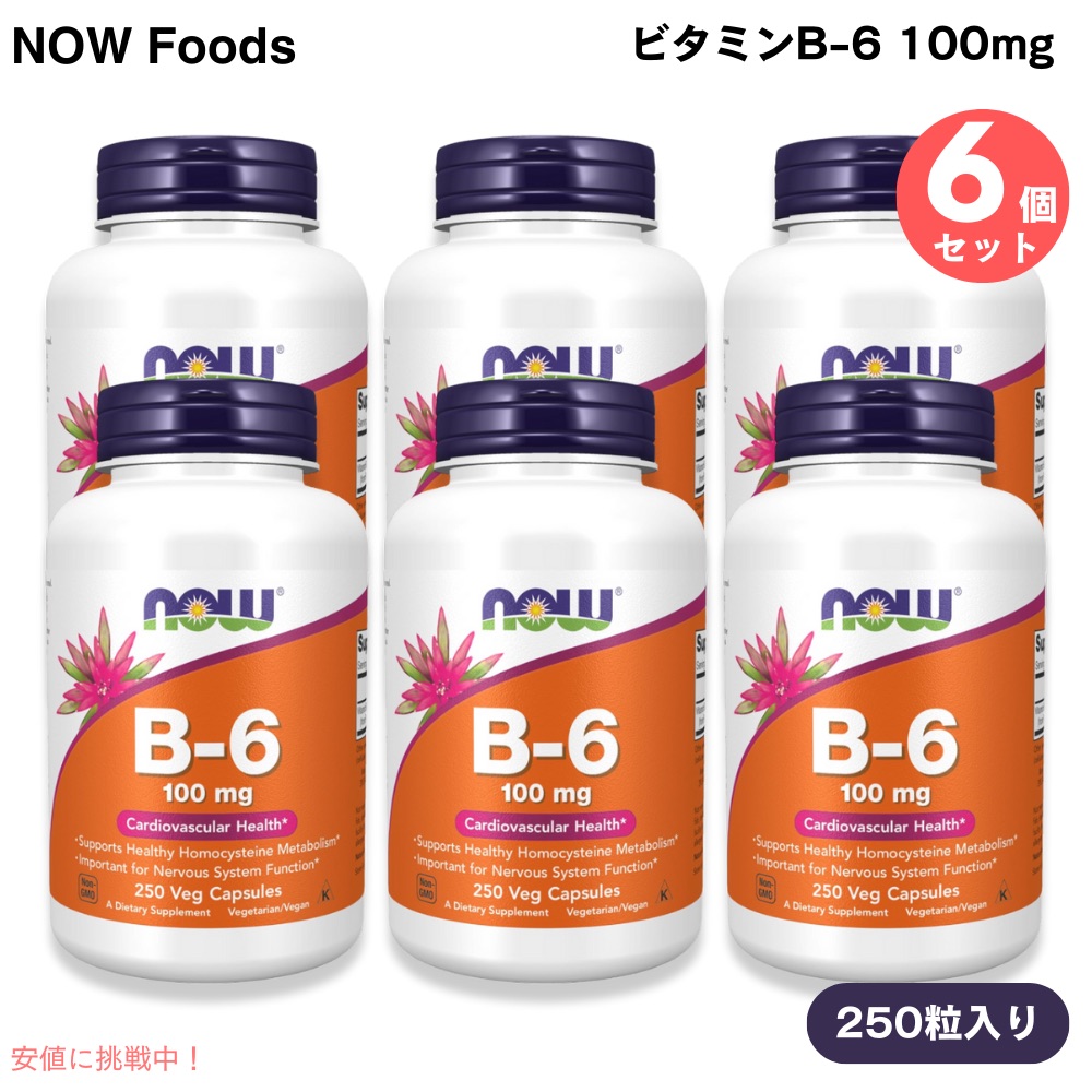 【6個】 NOW Foods ナウフーズ ヴィタミンB-6 100瓱 250粒 ベジカプセル #0458 Vitamin B-6 100瓱 250 Veg Capsules
