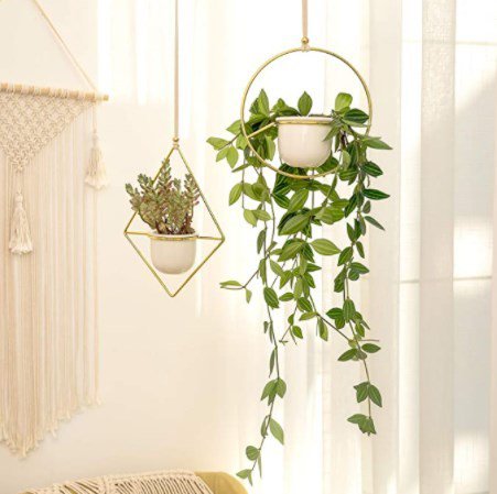 2個セットハンギングプランター 多肉植物 植木鉢 Gold&White｜Founder