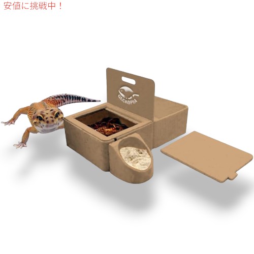 Geckopia ゲッコーピア トリプル 爬虫類ディッシュ 3in1 Reptile Dish [ヤモリボウル, 爬虫類ボウル、ウォーターフードボウル]