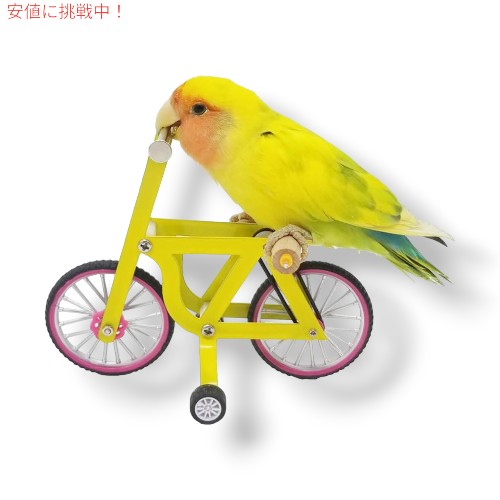 鳥の学習能力形づくる手あそび Bird Intelligence Training Toy  [オウム真理教謎合わせ 銀輪手あそび 小型～中型鳥用]