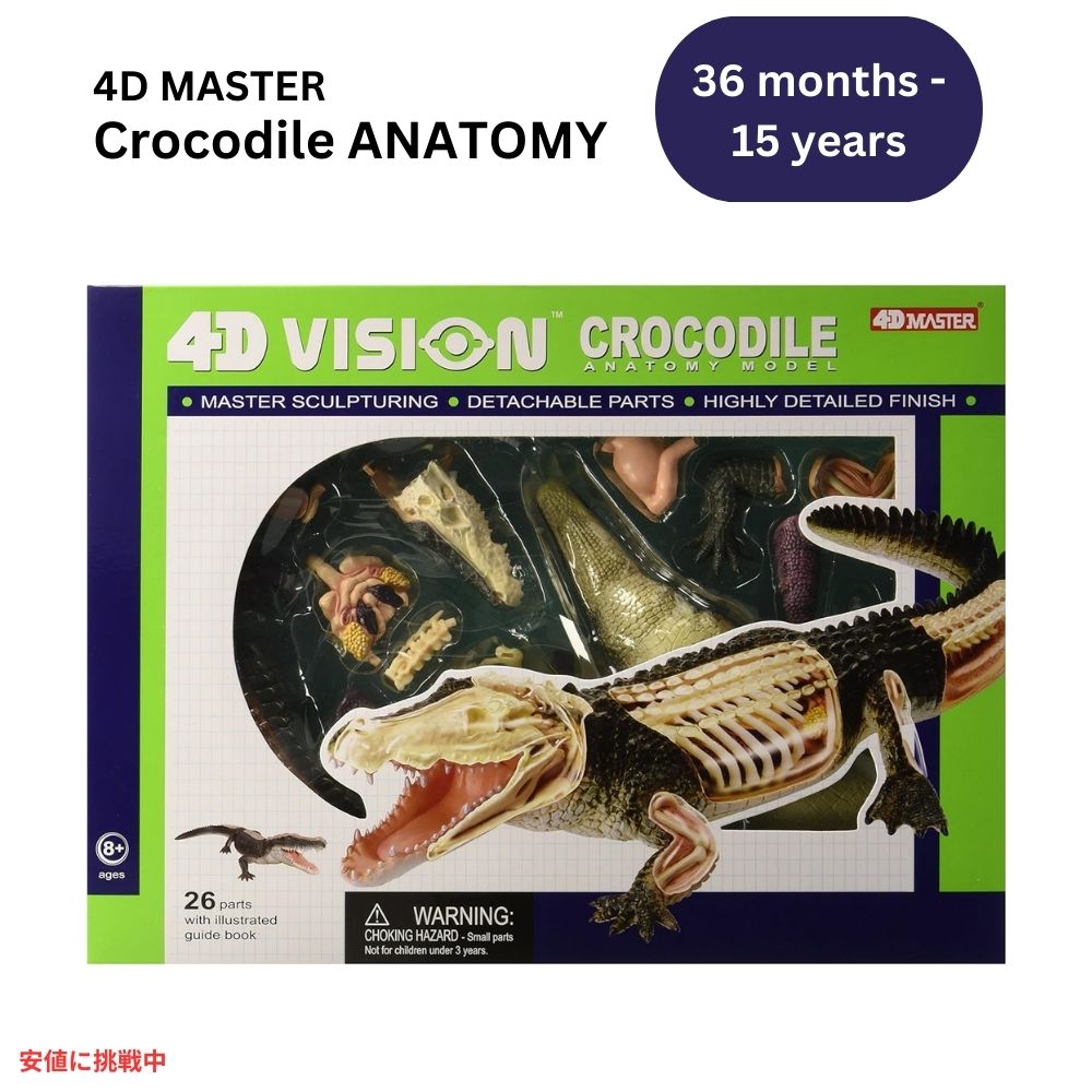 crocodileanat1.jpg