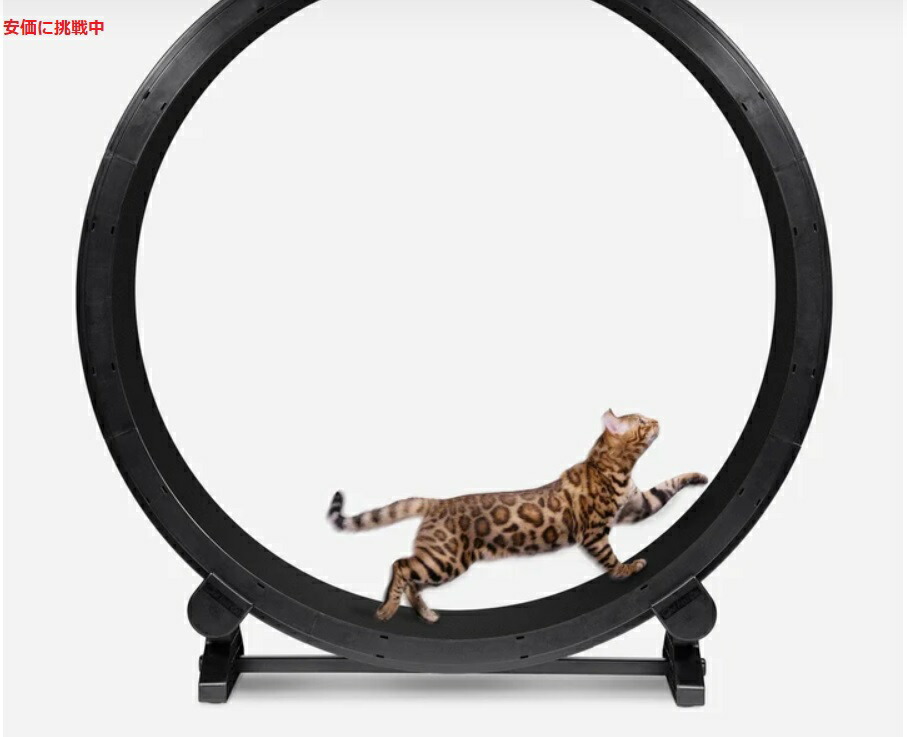 楽天市場】ワンファストキャット ONEFASTCAT 猫用 Cat Exercise Wheel