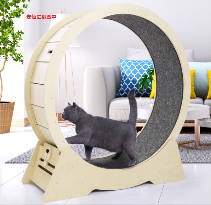 猫用エクササイズホイール Cat Exercise Wheel  室内猫のフィジカルフィットネス